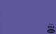 Papirnato studijsko ozadje - 1,36x11m - Purple